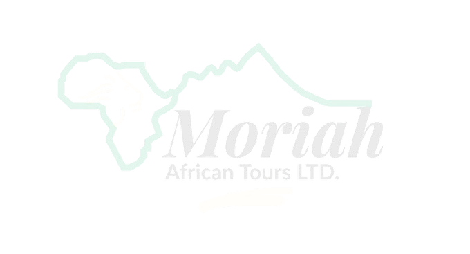 moria_similar_logo (1)